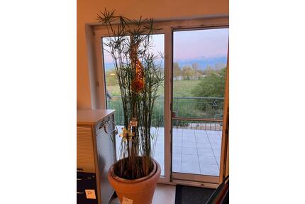 Sonnige Traumwohnung mit Blick ins Grüne - Ingolstadt Münchener Straße