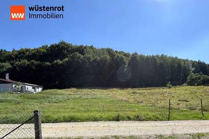 Naherholung am Ortsrand (Bau- und Landwirtschaftsfläche) - Offenhausen / Breitenbrunn