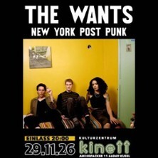The Wants - New York Post Punk