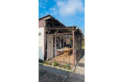 Kleingarten Pachtgarten Schrebergarten Garten im Spreewald - Lübben (Spreewald)