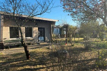 KleingartenSchrebergartenPachtgartenGarten abzugeben - Borsdorf