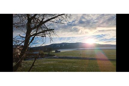 Mietwohnung 810€ - 810,00&nbsp;EUR Kaltmiete, ca.&nbsp; 135,00&nbsp;m&sup2; in Neukirchen bei Heiligen Blut (PLZ: 93453)