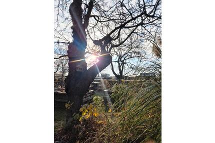 Garten Pachtgarten Leipzig Portitz