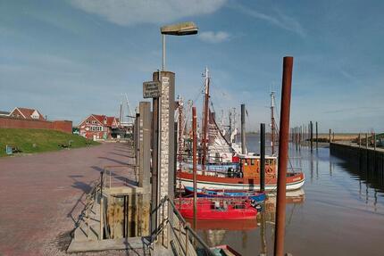 Ditzum ebenerdige Ferienwohnung Fewo Ostfriesland - Weener