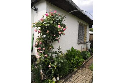 Kleingarten Schrebergarten - 1.300,00&nbsp;EUR Kaltmiete, ca.&nbsp; 0,00&nbsp;m&sup2; in Sangerhausen (PLZ: 06526)
