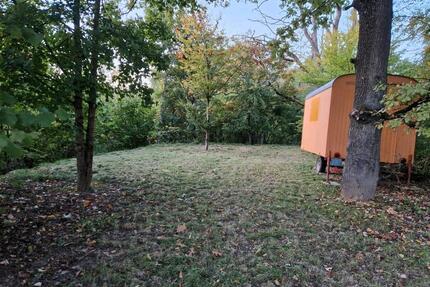 Gartengrundstück zu verpachten - 150,00&nbsp;EUR Kaltmiete, ca.&nbsp; 0,00&nbsp;m&sup2; in Elz (PLZ: 65604)