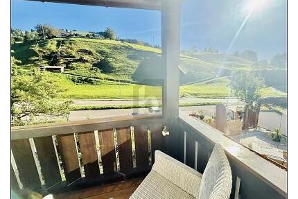 KERNSANIERTE FERIENWOHNUNG MIT RENDITEPOTENZIAL - Münstertal