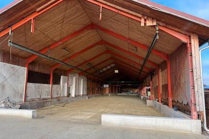 Halle ca. 600 qm einseitig offen - Essenbach