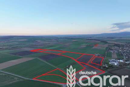 Grundstück in Hornburg 1.950.000,00 € 380083 m²
