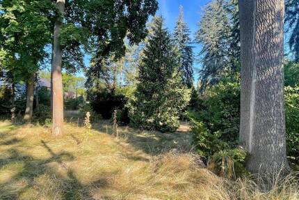 Großes Baugrundstück in Waldsteinberg! - Brandis