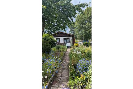 Pachtgarten in Kleingartenverein mit Gartenhaus - Ilmenau