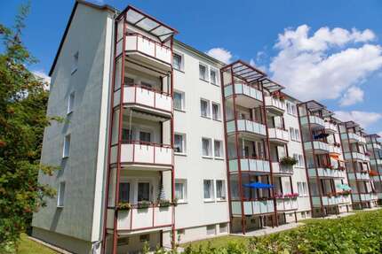 Wohnung zum Mieten in Freiberg 339,00 € 46.21 m²