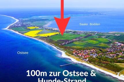 ❣️ OSTSEE Urlaub Ahrenshoop strandnahes Ferienhaus mit Hund ❣️ - Wandlitz