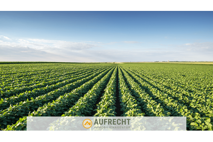 Grundstück in Jetzendorf 111.600,00 € 8586 m²