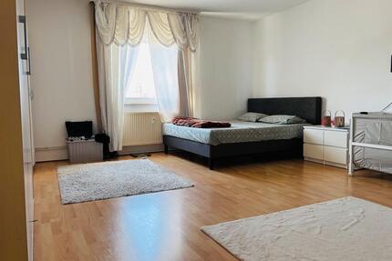 Geräumige 3-Zimmer-Wohnung mit traumhaftem Neckarblick - Mannheim Herzogenried