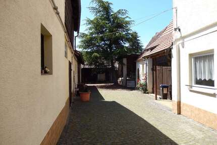 Haus zum Kaufen in Siebeldingen 585.000,00 € 147 m²