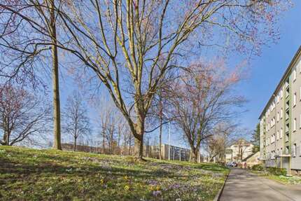 Wohnung zum Mieten in Chemnitz 341,00 € 59.78 m²