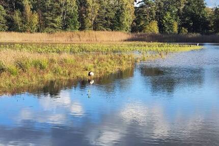 Grundstück im Wochenendgebiet Würmsee! (MA-1020-43) - Burgwedel Kleinburgwedel