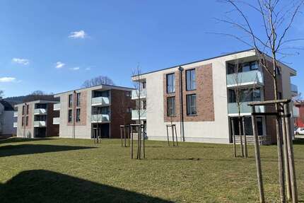Wohnung zum Mieten in Ilmenau 400,00 € 47.16 m²