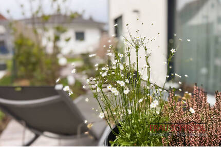 Modernes Wohnen der Extraklasse Einfamilienhaus mit gehobener Ausstattung GOTTMADINGEN