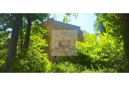 Grundstück zu verkaufen in Altglietzen Sonnenburg 80.000,00 € 2794 m² - Altglietzen / Sonnenburg