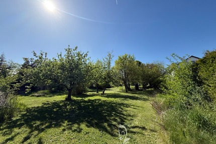 Sonniges Baugrundstück für Einfamilien-, oder Doppelhaus in einer der schönsten Lagen von Höchberg