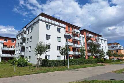 Wohnung zum Kaufen in Greifswald 253.000,00 € 84.6 m²