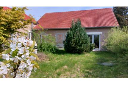 Hausprojekt im Oderbruch – naturnah wohnen mit Potenzial! - Küstriner Vorland