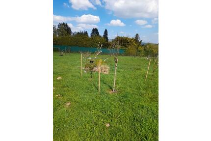 Freizeitgrundstück Garten ca. 800m² - Oberursel (Taunus)