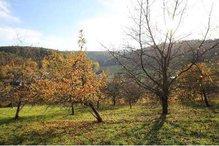 Grundstück zu verkaufen in Breuberg, OT Wald-Amorbach 195.000,00 € 3398 m²