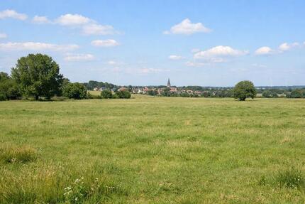 Weideland etwa 40000 qm (4 Hektar) als Schafsweide Pferdeweide - Bornheim