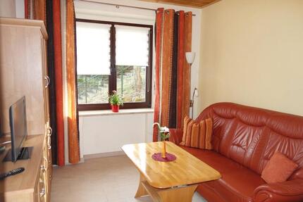 Möblierte 2-Raum Wohnung in ruhiger Lage - Dresden Loschwitz