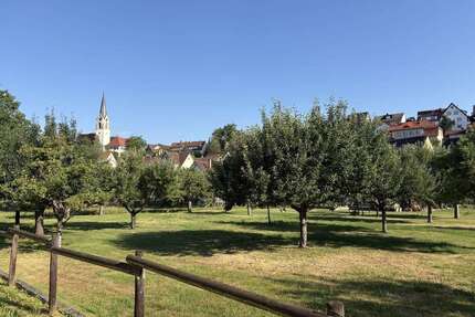 Wohnung zum Kaufen in Tübingen 172.000,00 € 50 m²