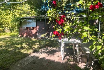 Zentraler Garten in Bad Homburg - Oberursel (Taunus)