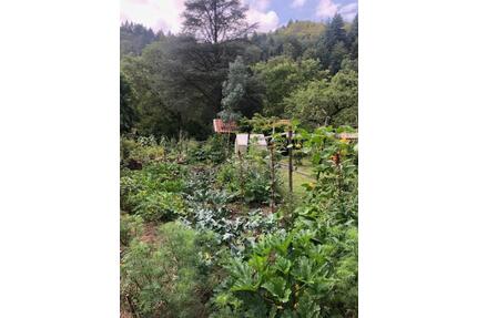 Schönes Garten- und Freizeitgrundstück an der Nagold zu verkaufen - Pforzheim Eutingen