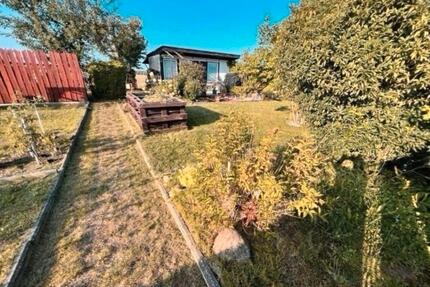 *Pachtgarten 400qm* - 1.777,00&nbsp;EUR Kaltmiete, ca.&nbsp; 0,00&nbsp;m&sup2; in Belgern-Schildau (PLZ: 04889)