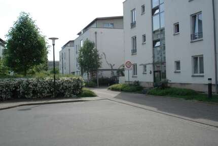 Wohnung zum Mieten in Dresden 627,00 € 66 m²