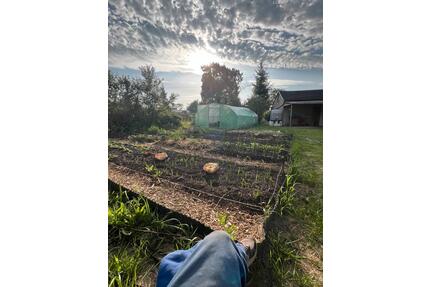Gemeinschaftsgarten in Berlin Karow - Garten - Keine Ablöse