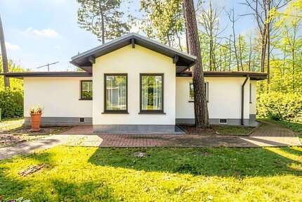 Haus zum Kaufen in Brandis 385.000,00 € 136.41 m²
