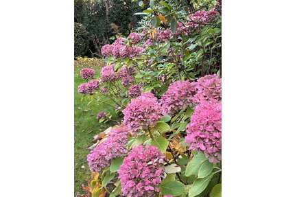 Grundstück zu verkaufen in Berlin 2.889.000,00 € 1038 m²