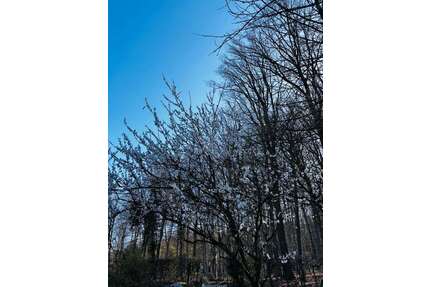 Haus zum Kaufen in Dortmund 797.000,00 € 173 m²