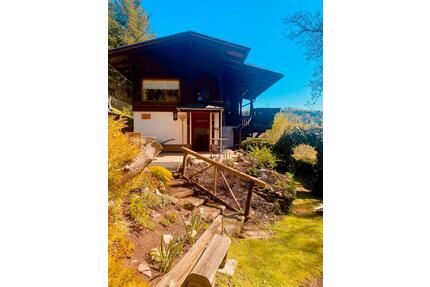 Charmantes Gartenhaus mit Traumgrundstück - Steinbach-Hallenberg