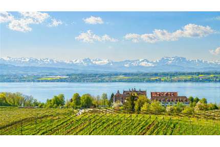 Wohnung zum Kaufen in Immenstaad am Bodensee 1.870.000,00 € 207 m²