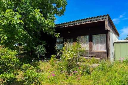 Haus zum Kaufen in Ebersbach 48.000,00 € 19 m²