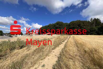 Grundstück zu verkaufen in Mayen 90.250,00 € 361 m²