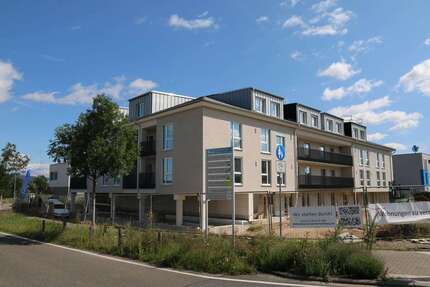 Wohnung zum Mieten in Ingelheim 1.500,00 € 134.24 m²