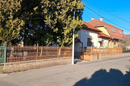 Exklusives Anwesen in Satu Mare Rumänien – 33 Ar Grundstück - Pressath