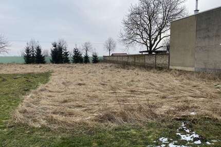 Grundstück zu verkaufen in Sandersdorf-Brehna 99.000,00 € 1000 m²