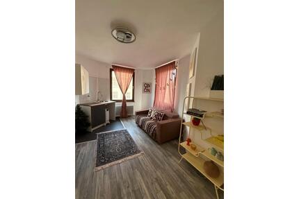 Wohnung zu vermieten - 650,00&nbsp;EUR Kaltmiete, ca.&nbsp; 30,00&nbsp;m&sup2; in Dortmund (PLZ: 44145) Innenstadt Nord