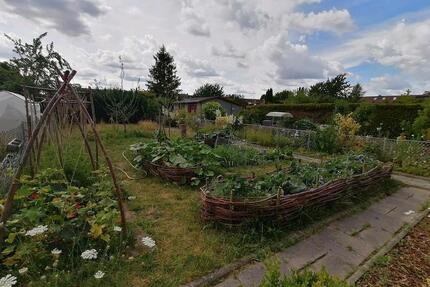 Kleingarten zu sofort abzugeben - Braunschweig Südstadt- Rautheim- Mascherode